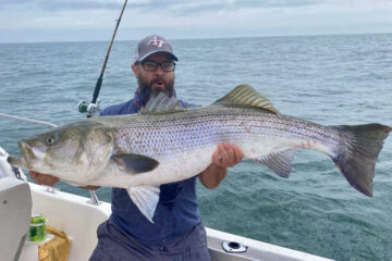 striped-bass-new-jersey-fall-autumn-tips