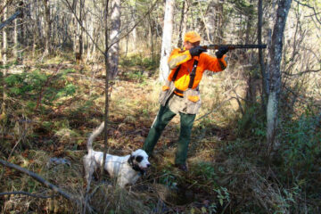 new-hampshire-ruffled-grouse-woodcock-season-hunting-bird